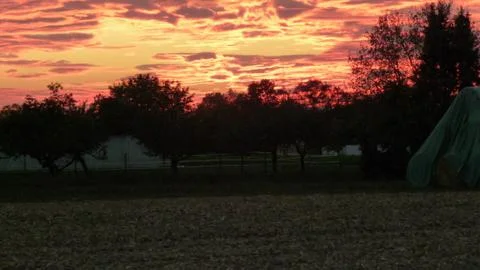 Evening. Bright beautiful sunset. Stock Photos