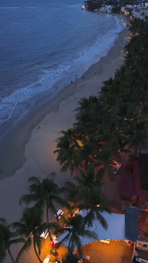 Evening Cabarete Beach with Palm Trees and Illuminated Restaurants. Aerial View Stock Footage 314866565