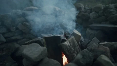 Evening camp fire Stock Footage 203902733