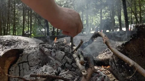 Evening Campfire in Belarus Woods Video stock 278266172
