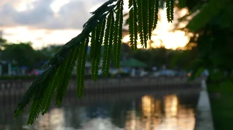 Evening canal Stock Footage 66244393