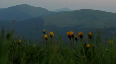 Evening in the Carpathians Stock Footage 68860106