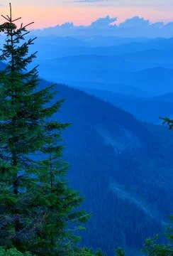 Evening in Carpathians Stock Photos