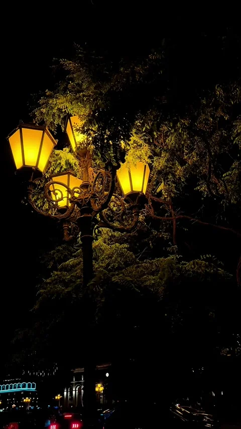 Evening city lights glowing through trees Stock Footage 318311239