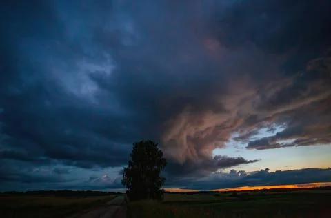 Evening cloud with beautiful structure, silhouette of tree and road Stock Photos