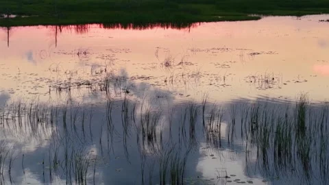 Evening Cloud Reflections in Marsh Pool Stock Footage 346743557