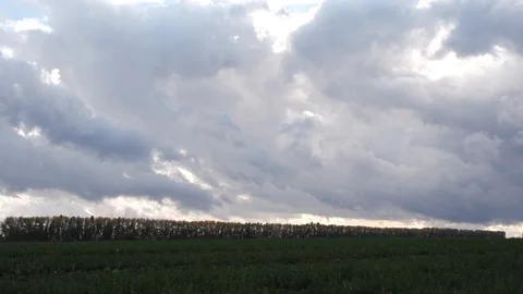 Evening clouds crawl through dark sky, field around perimeter lined with trees Stock Footage 128802673