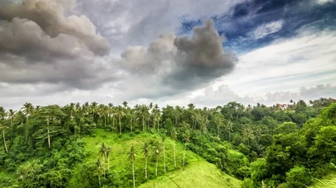 Evening clouds on hill in tropics time lapse Stock Footage 63134488