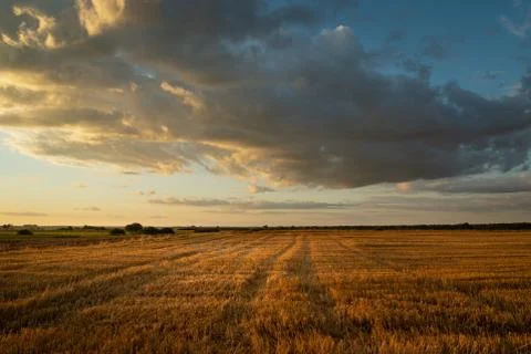 Evening clouds lit by the sun over the stubble 库存照片