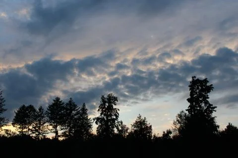 Evening clouds in the sky over forest after sunset Stock Photos