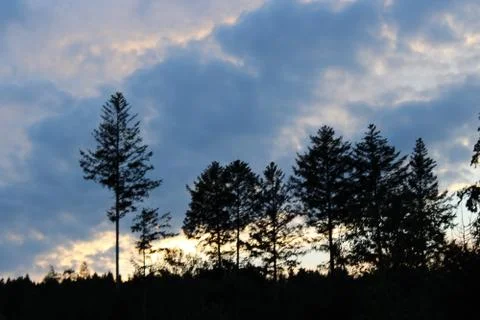Evening clouds in the sky over forest after sunset Stock Photos