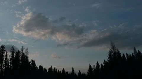 Evening clouds in time lapse above a boreal forest. Trees as silhouettes.  Stock Footage 153280105