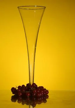 An evening cocktail. Stock Photos