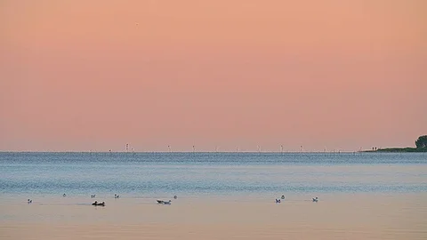 Evening colours Stock Footage 83146725