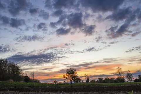 Evening countryside Stock Photos