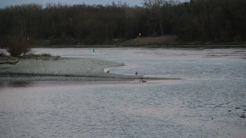 Evening at the danube river Stock Footage 304730178