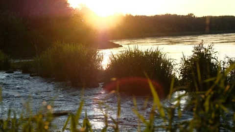 Evening on the danube river near enns Stock Footage 154570848