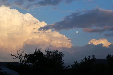 Evening, darkened trees, sunlit clouds, blue sky and moon Stock Photos
