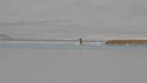Evening dead sea coast Stock Footage 163079729