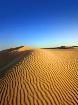 Evening desert Fotos de archivo