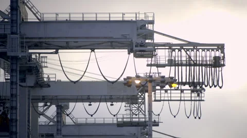 Evening At The Docs Video stock 309055123