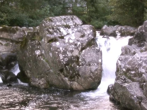 Evening Fall Video stock 489830