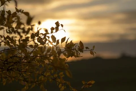 Evening in the fall Stock Photos