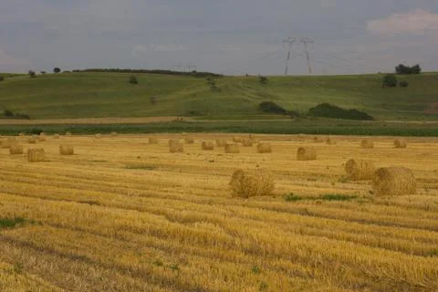Evening field Stock Photos