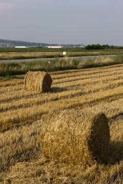 Evening field Stock Photos