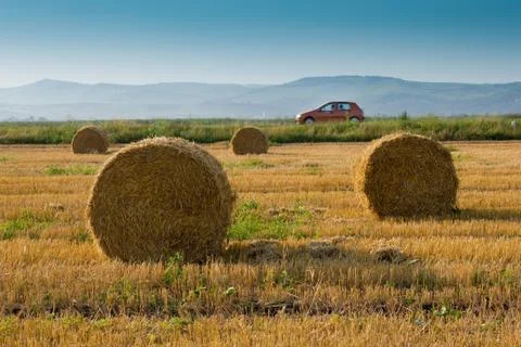Evening field Stock Photos
