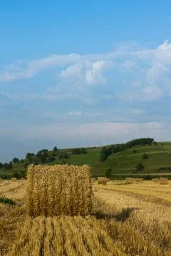 Evening field Stock Photos