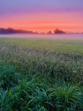 Evening field Foto stock