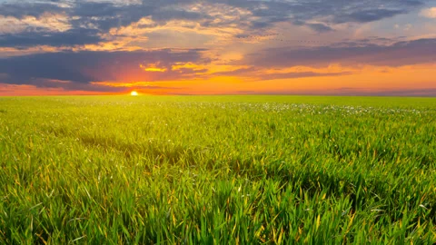 Evening fields time lapse scene Video stock 277412196