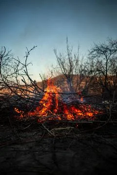 The evening fire is burning. Flames in high quality Stock Photos
