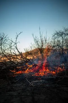 The evening fire is burning. Flames in high quality Stock Photos