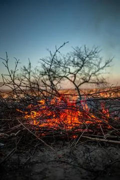 The evening fire is burning. Flames in high quality Stock Photos