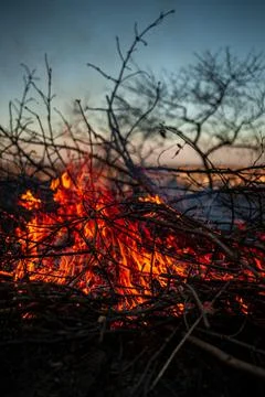 The evening fire is burning. Flames in high quality Stock Photos