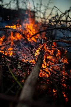 The evening fire is burning. Flames in high quality Stock Photos