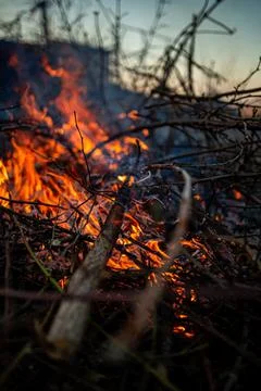 The evening fire is burning. Flames in high quality Stock Photos