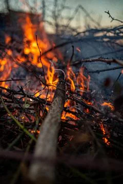 The evening fire is burning. Flames in high quality Stock Photos