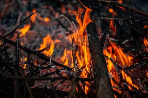 The evening fire is burning. Flames in high quality Stock Photos