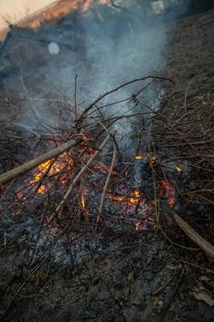 The evening fire is burning. Flames in high quality Stock Photos