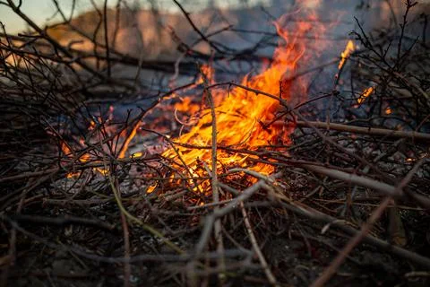The evening fire is burning. Flames in high quality Stock Photos