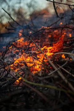 The evening fire is burning. Flames in high quality Stock Photos