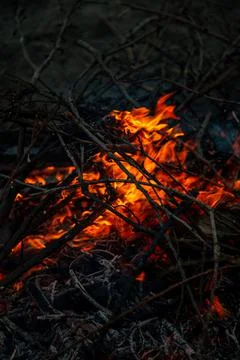The evening fire is burning. Flames in high quality Stock Photos