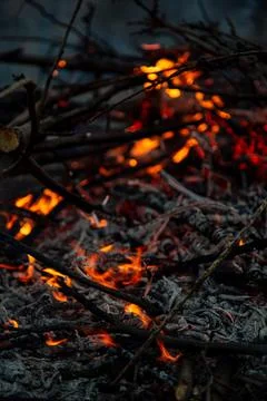 The evening fire is burning. Flames in high quality Stock Photos