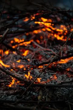 The evening fire is burning. Flames in high quality Stock Photos