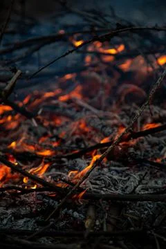 The evening fire is burning. Flames in high quality Stock Photos