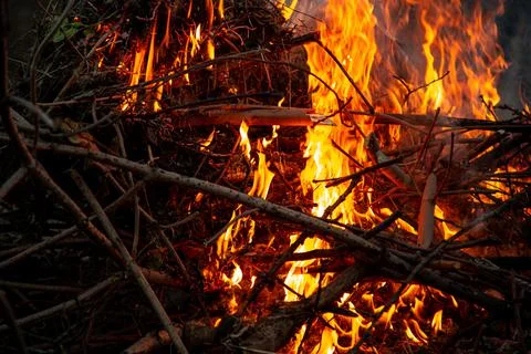 The evening fire is burning. Flames in high quality Stock Photos