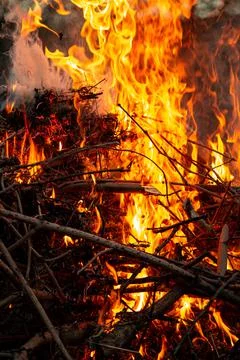 The evening fire is burning. Flames in high quality Stock Photos